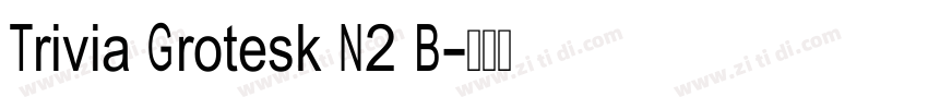 Trivia Grotesk N2 B字体转换